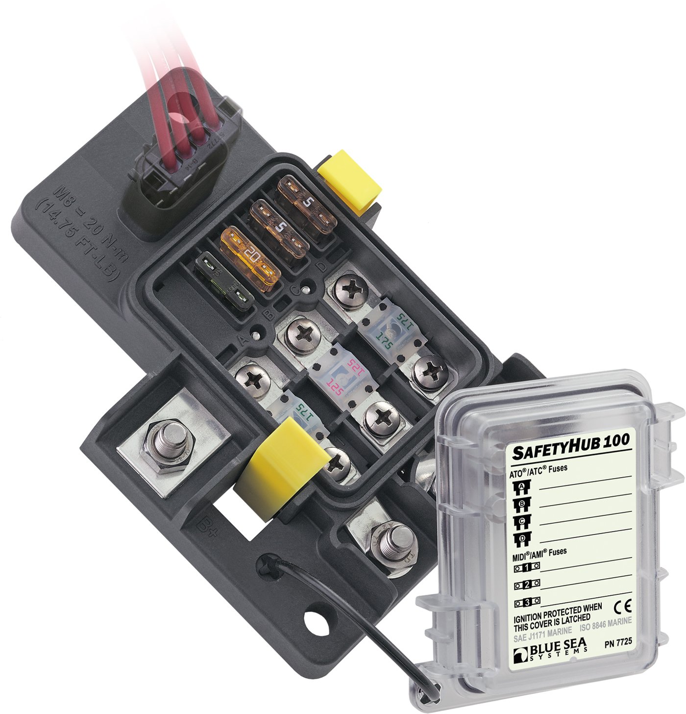 What type of fuses does the SafetyHub100 use ?